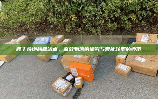 顺丰快递鹤壁站点,高效物流的缩影与智能转型的典范