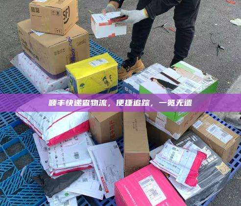 顺丰快递查物流,便捷追踪,一览无遗