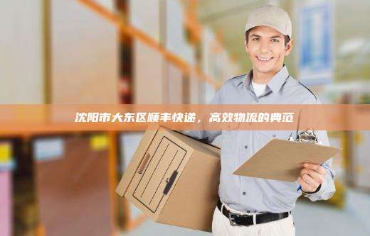 沈阳市大东区顺丰快递,高效物流的典范