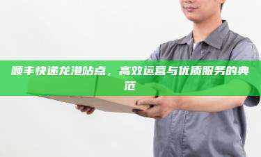 顺丰快递龙港站点,高效运营与优质服务的典范
