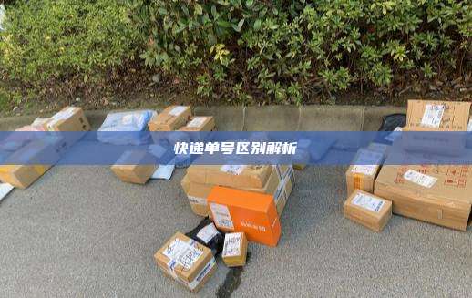 快递单号区别解析