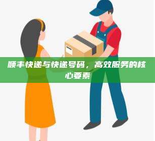 顺丰快递与快递号码，高效服务的核心要素