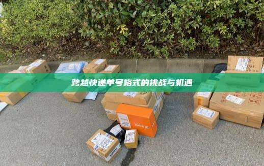 跨越快递单号格式的挑战与机遇