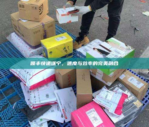 顺丰快递遂宁,速度与效率的完美融合