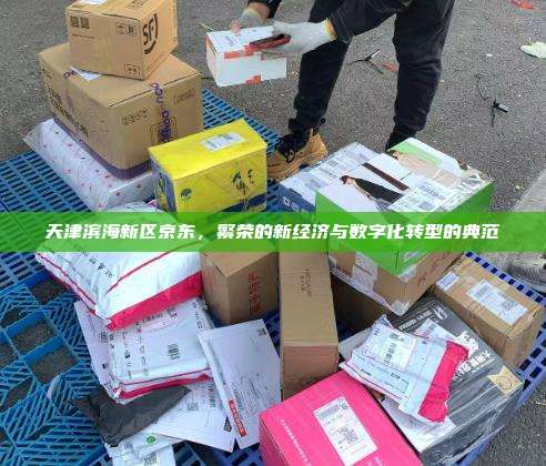 天津滨海新区京东,繁荣的新经济与数字化转型的典范