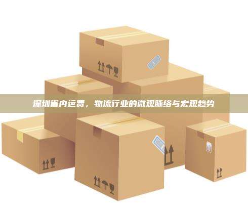 深圳省内运费,物流行业的微观脉络与宏观趋势
