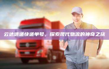云达速递快递单号，探索现代物流的神奇之旅