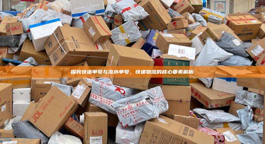 探究快递单号与流水单号，快递物流的核心要素解析