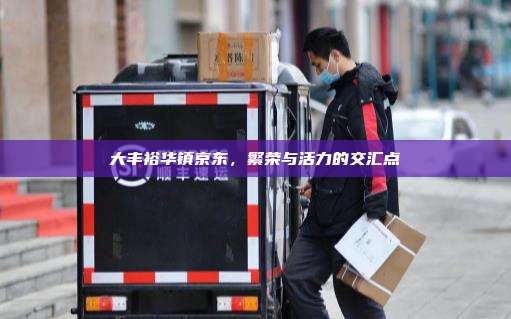 大丰裕华镇京东,繁荣与活力的交汇点
