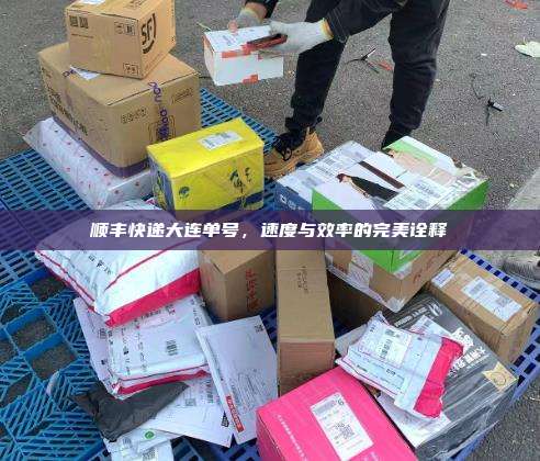 顺丰快递大连单号，速度与效率的完美诠释