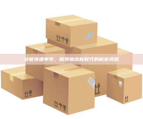 安能快递单号，探索物流新时代的秘密武器