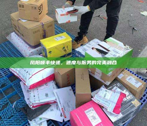 凤阳顺丰快递,速度与服务的完美融合