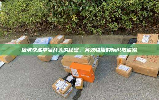 捷诚快递单号开头的秘密,高效物流的标识与追踪
