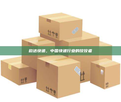 韵达快递,中国快递行业的佼佼者