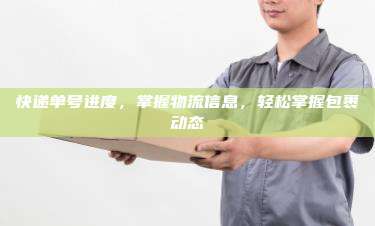 快递单号进度,掌握物流信息,轻松掌握包裹动态