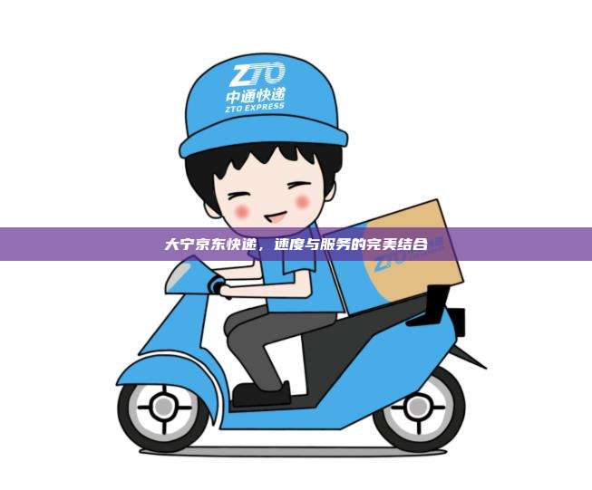 大宁京东快递，速度与服务的完美结合