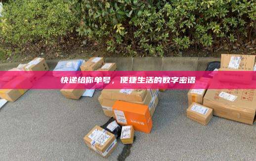 快递给你单号,便捷生活的数字密语