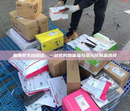 临朐京东自营店,一站式购物体验与多元化商品选择