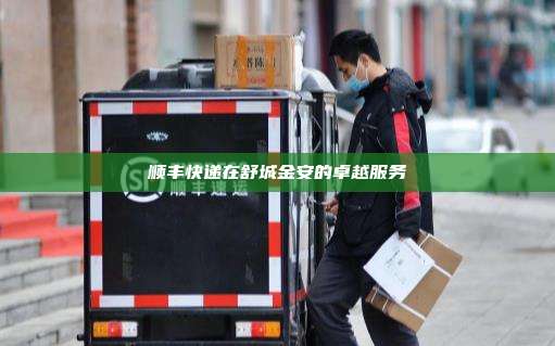 顺丰快递在舒城金安的卓越服务