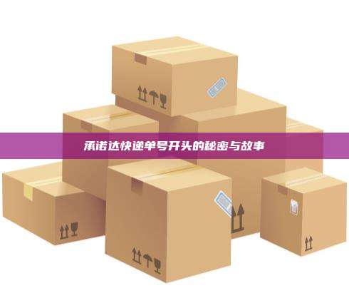 承诺达快递单号开头的秘密与故事