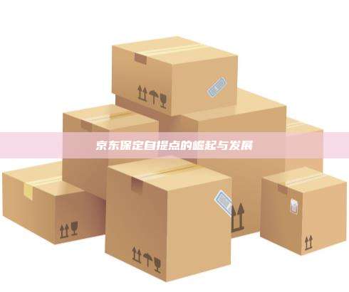 京东保定自提点的崛起与发展