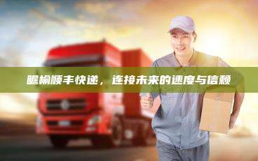 瞻榆顺丰快递,连接未来的速度与信赖