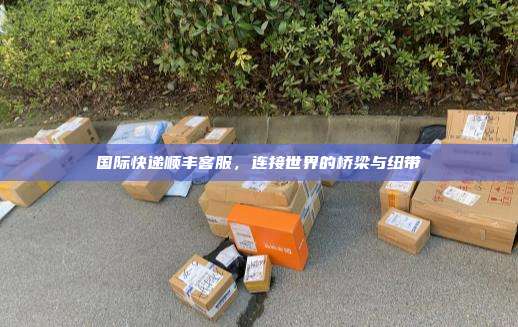 国际快递顺丰客服,连接世界的桥梁与纽带