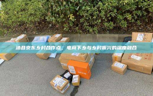 沛县京东乡村合作点,电商下乡与乡村振兴的深度融合