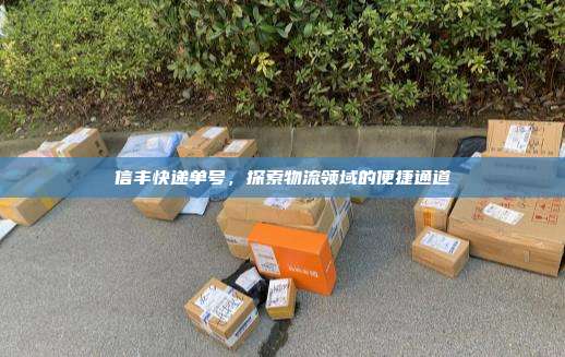 信丰快递单号,探索物流领域的便捷通道