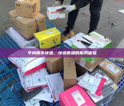 平舆顺丰快递,快速便捷的服务体验
