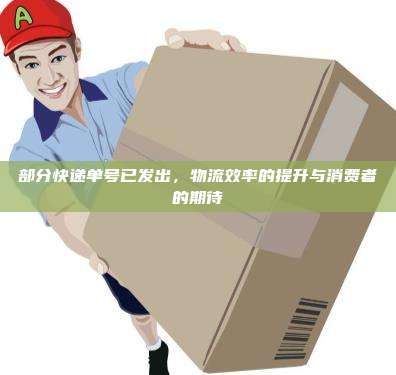 部分快递单号已发出,物流效率的提升与消费者的期待