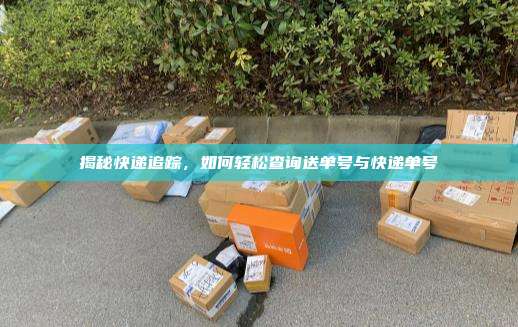 揭秘快递追踪,如何轻松查询送单号与快递单号