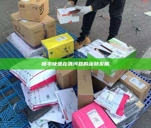 顺丰快递在清河县的蓬勃发展