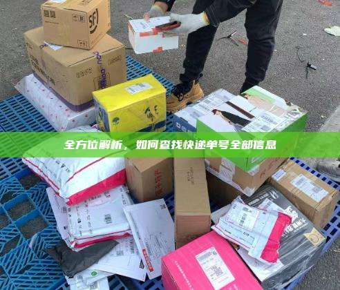 全方位解析,如何查找快递单号全部信息