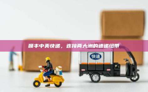 顺丰中美快递,连接两大洲的速递纽带