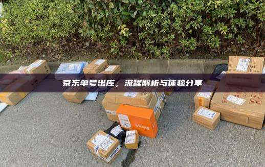 京东单号出库,流程解析与体验分享 京东单号出库,流程解析与体验分享