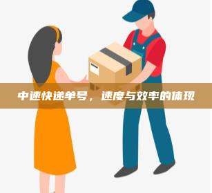 中速快递单号,速度与效率的体现