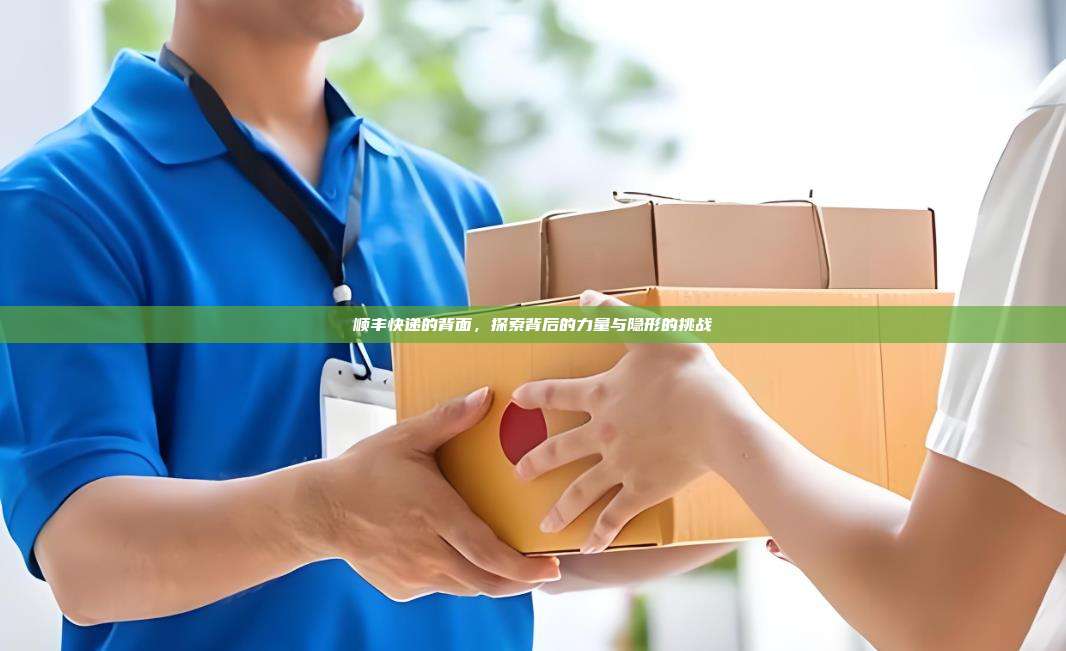 顺丰快递的背面,探索背后的力量与隐形的挑战