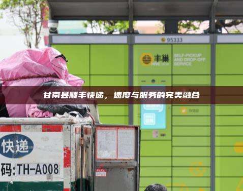甘南县顺丰快递,速度与服务的完美融合