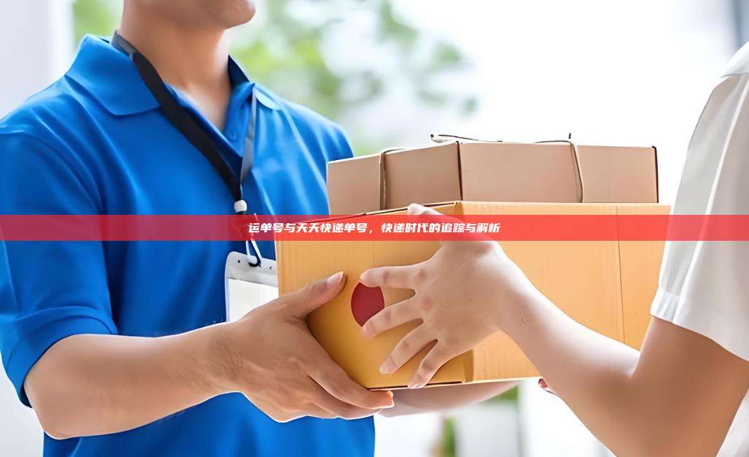 运单号与天天快递单号,快递时代的追踪与解析