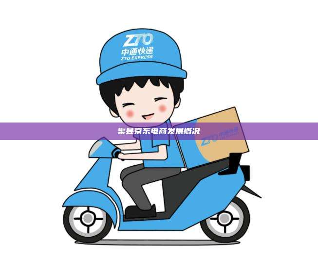 渠县京东电商发展概况