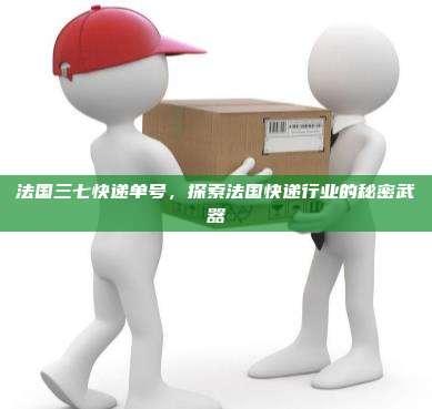法国三七快递单号,探索法国快递行业的秘密武器