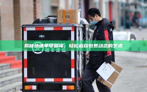 揭秘快递单号查询,轻松追踪包裹动态的艺术
