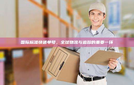 国际标准快递单号,全球物流与追踪的重要一环