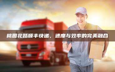桃园北路顺丰快递,速度与效率的完美融合