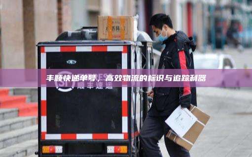 丰顺快递单号,高效物流的标识与追踪利器