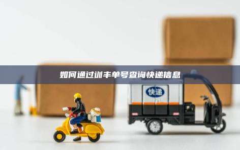 如何通过训丰单号查询快递信息