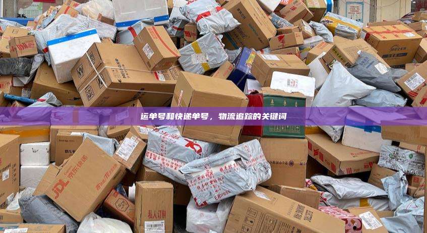 运单号和快递单号,物流追踪的关键词