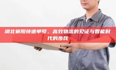 湖北襄阳快递单号,高效物流的见证与智能时代的步伐