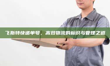 飞斯特快递单号,高效物流的标识与管理之道